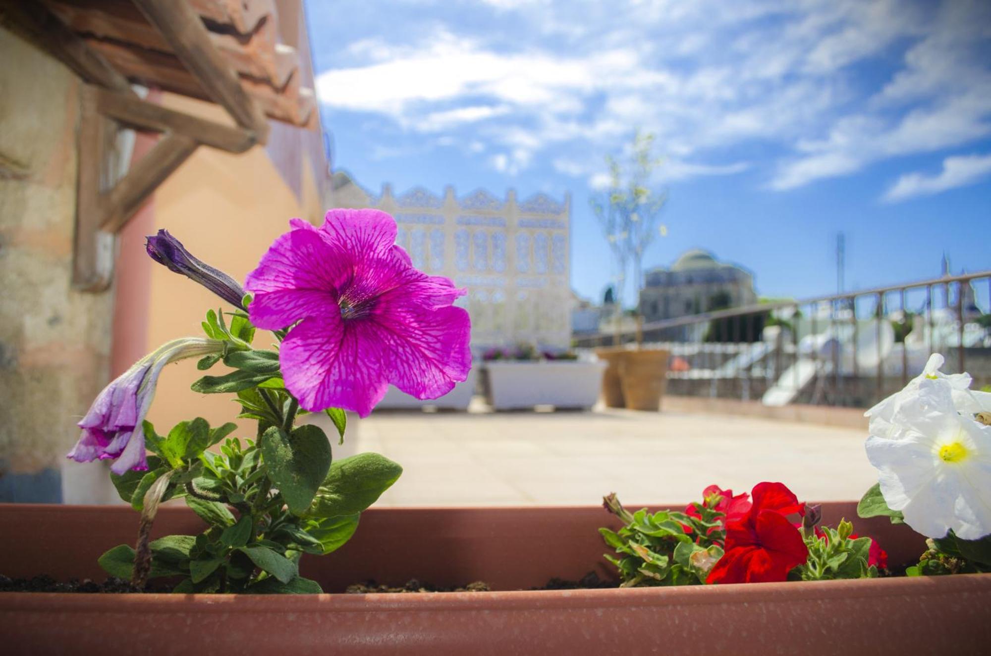 Petrino Aparthotel Rhodes City Quarto foto